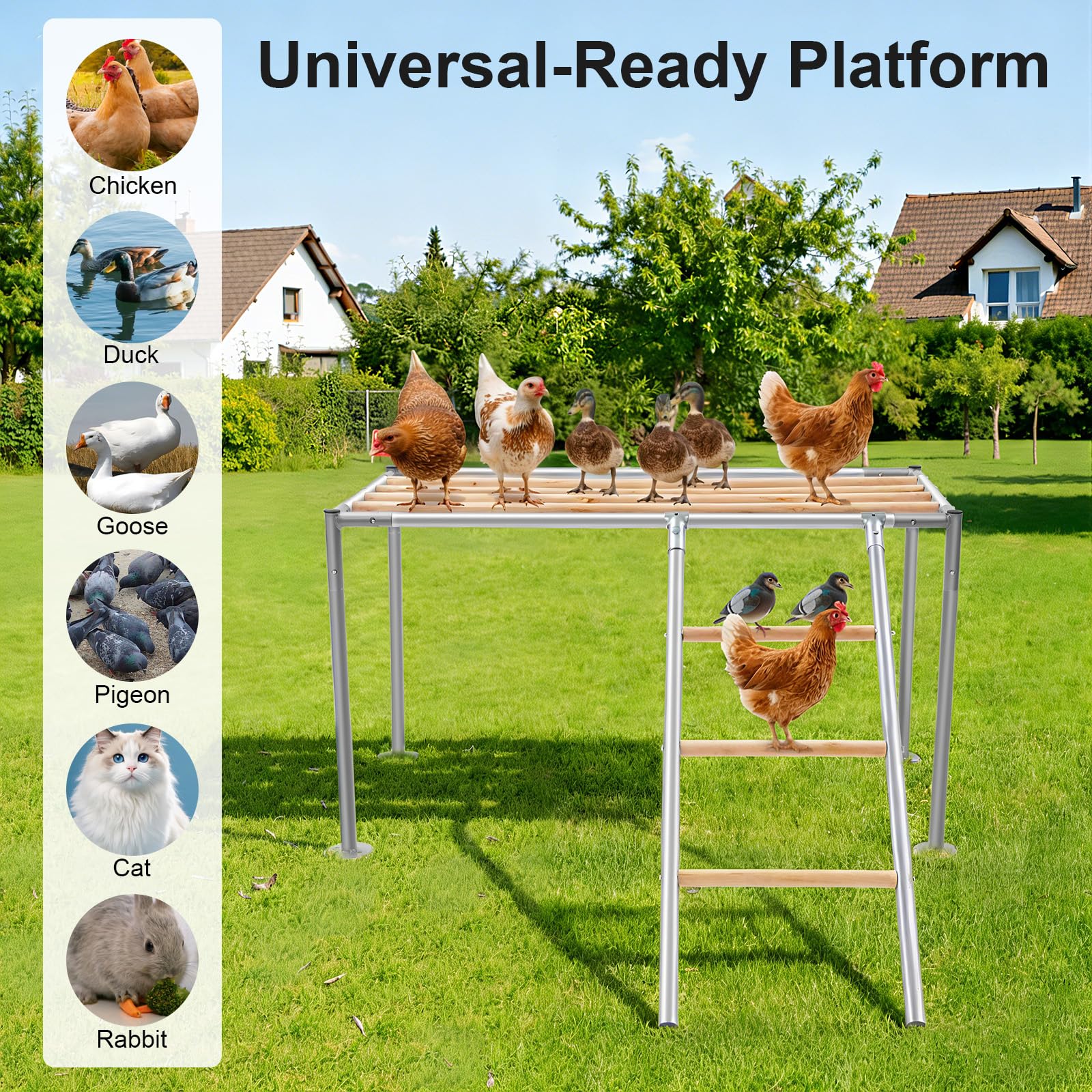 Piattaforma per polli con scala di pollo, scaletta per arrampicata pollaio, accessorio per piattaforma di riposo per polli e polli adulti, 105 x 60 x 60 cm