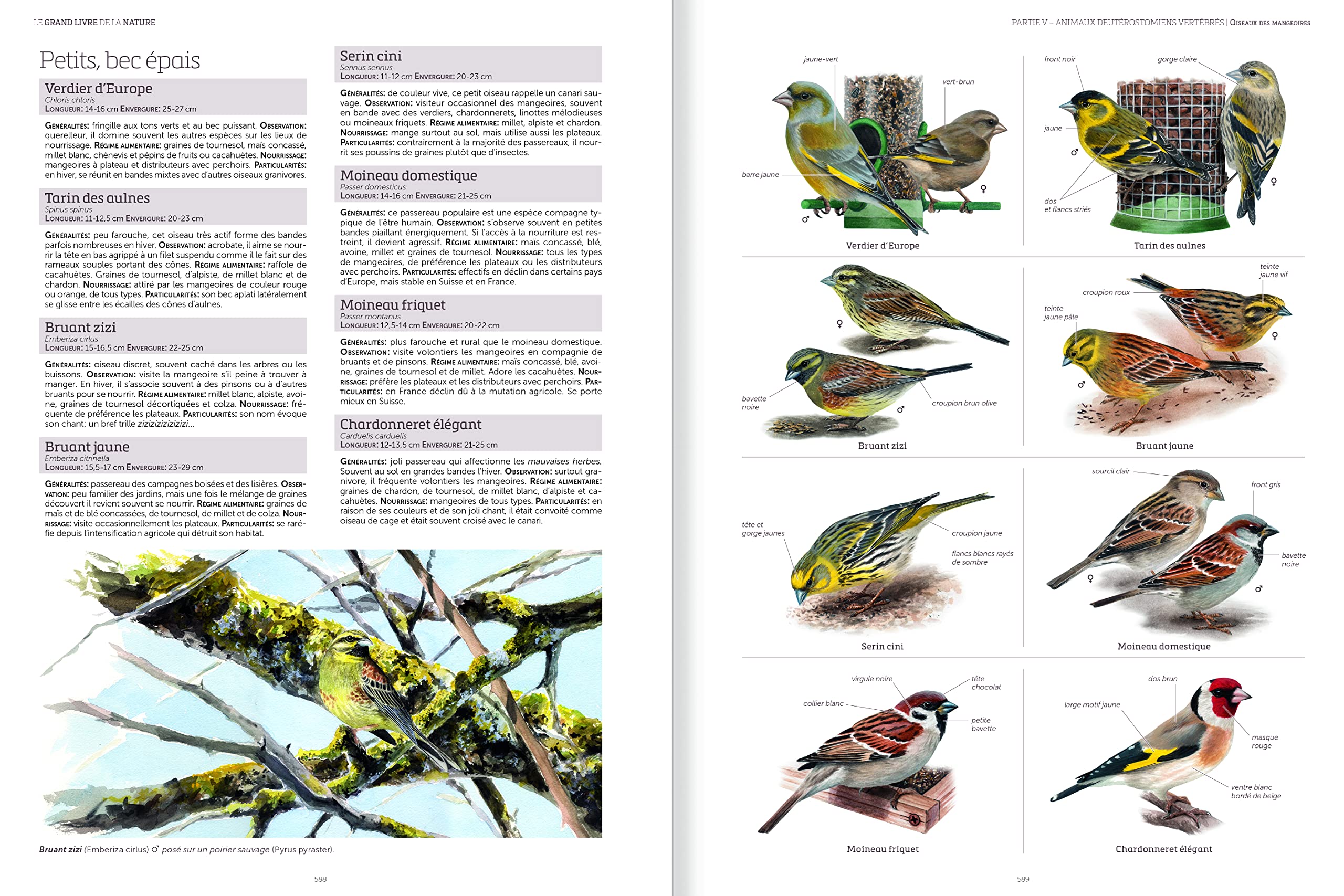 Le grand livre de la nature