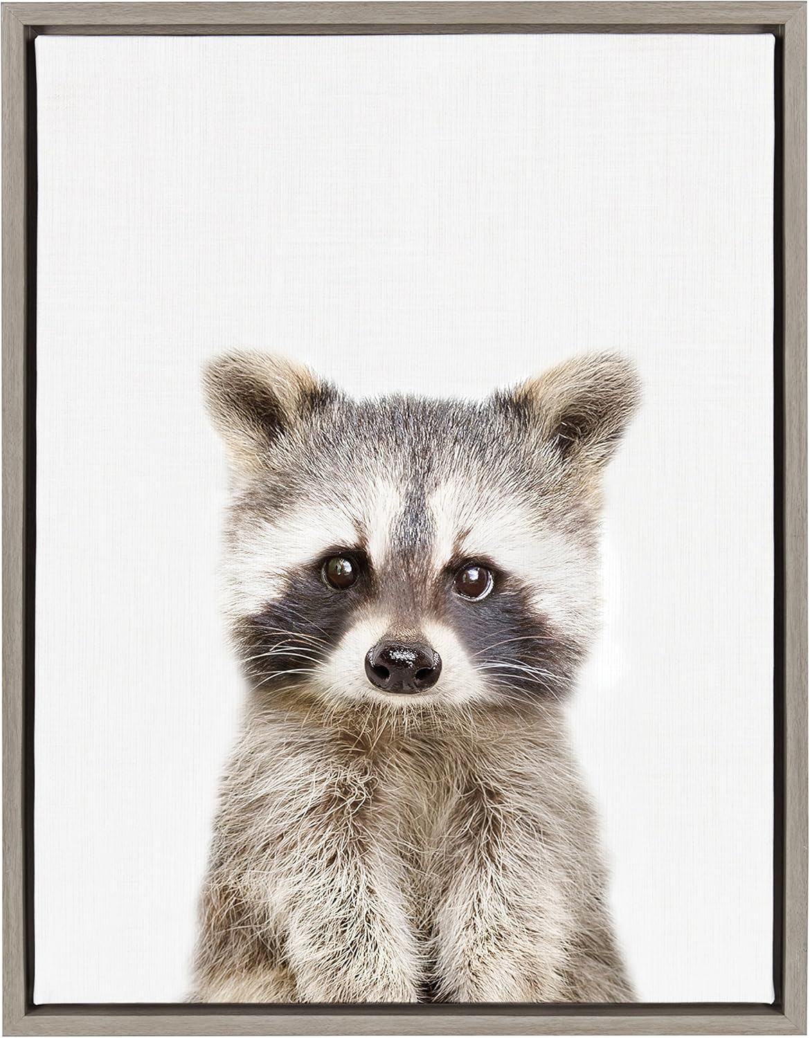 Kate and Laurel Sylvie Baby Raccoon Animal Print Portrait Framed Canvas Wall Art by Amy Peterson, 18x24 Gray