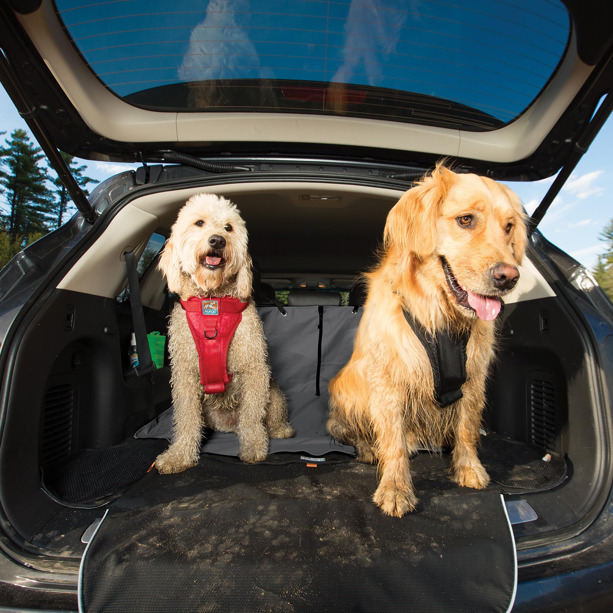 Kurgo Tapis de Coffre imperméable pour Chien, pour Voitures et SUV – Protection pour Animaux – Accessoire Auto – Accessoire pour Chiens (Gris Anthracite)