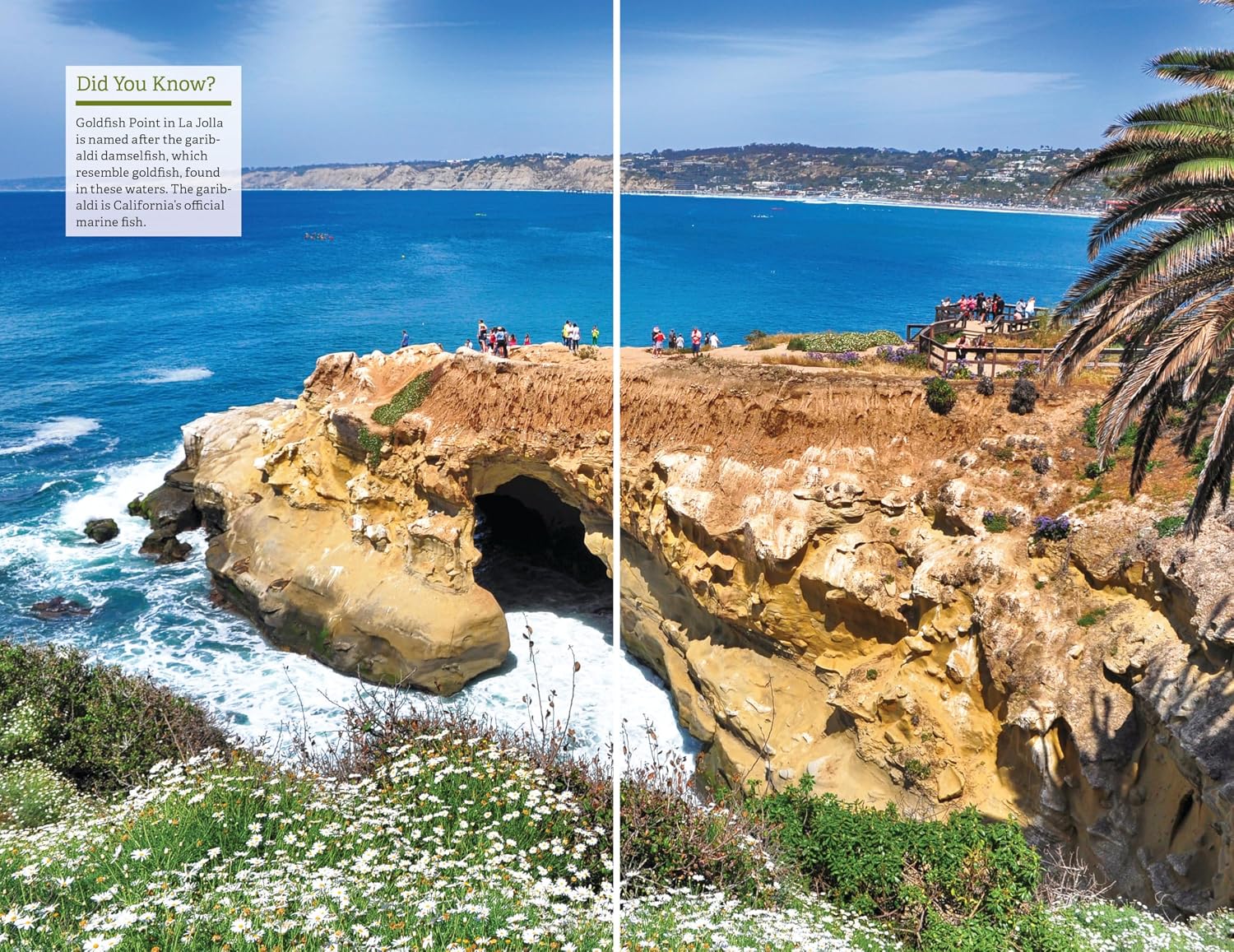 Fodor's San Diego (Full-color Travel Guide)