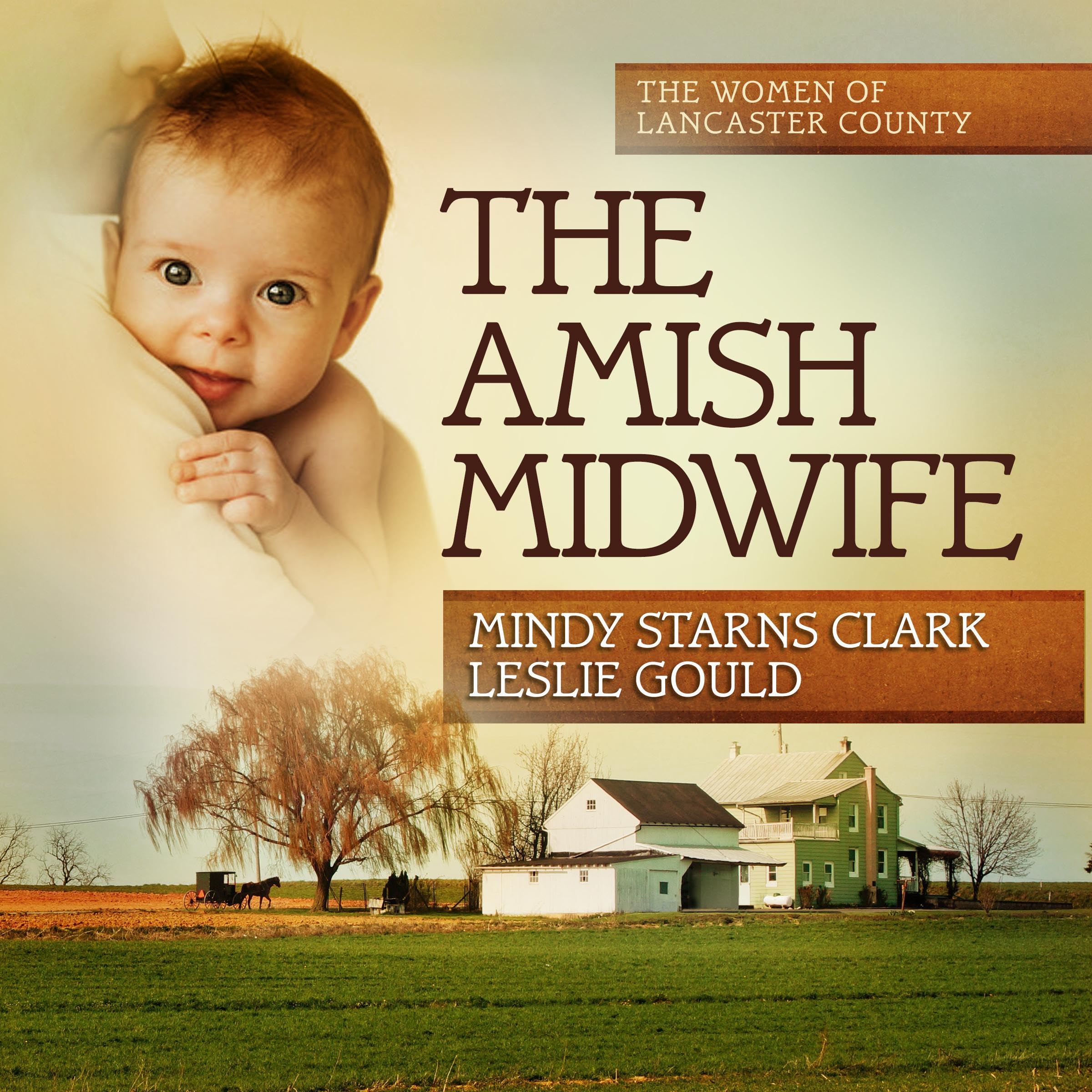 The Amish Midwife