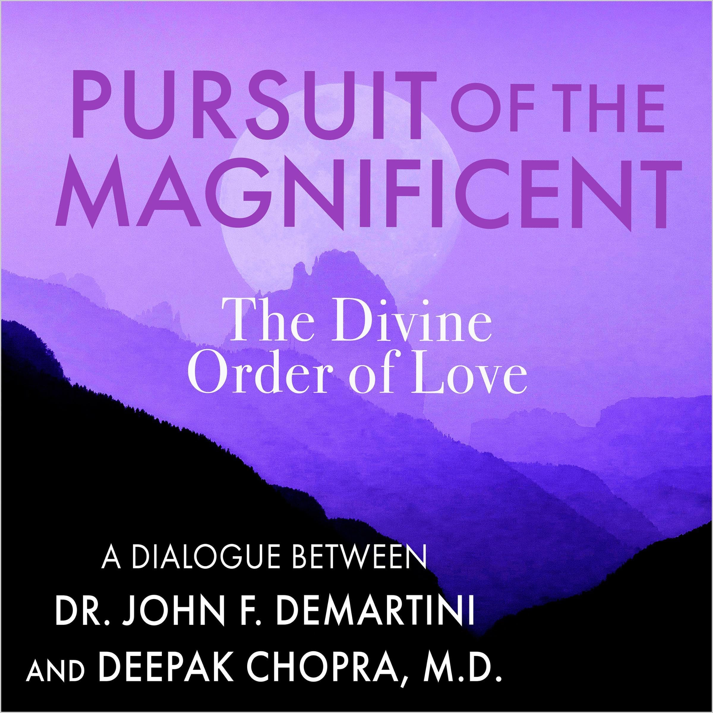 Cover art for Pursuit of the Magnificent