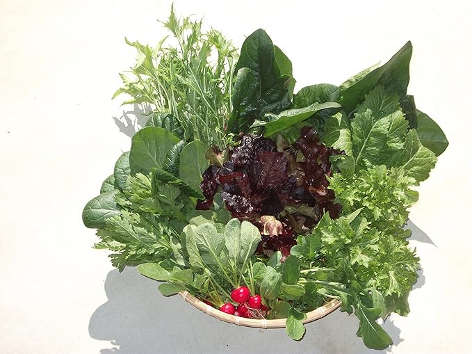 Amazon 九州 佐賀県産 園田農園 葉物野菜セット Jas有機栽培 園田農園 野菜セット 通販