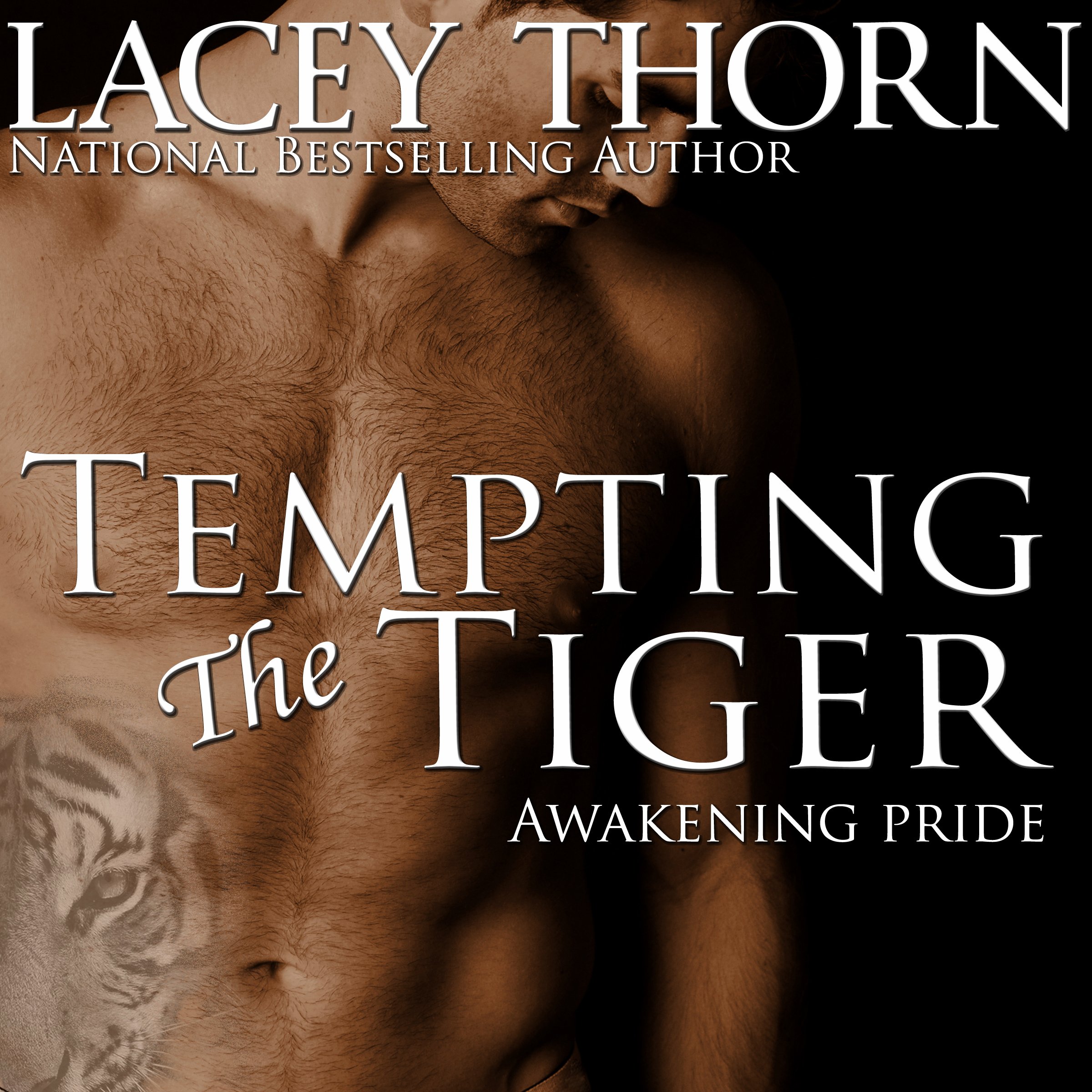 Cover art for Tempting the Tiger