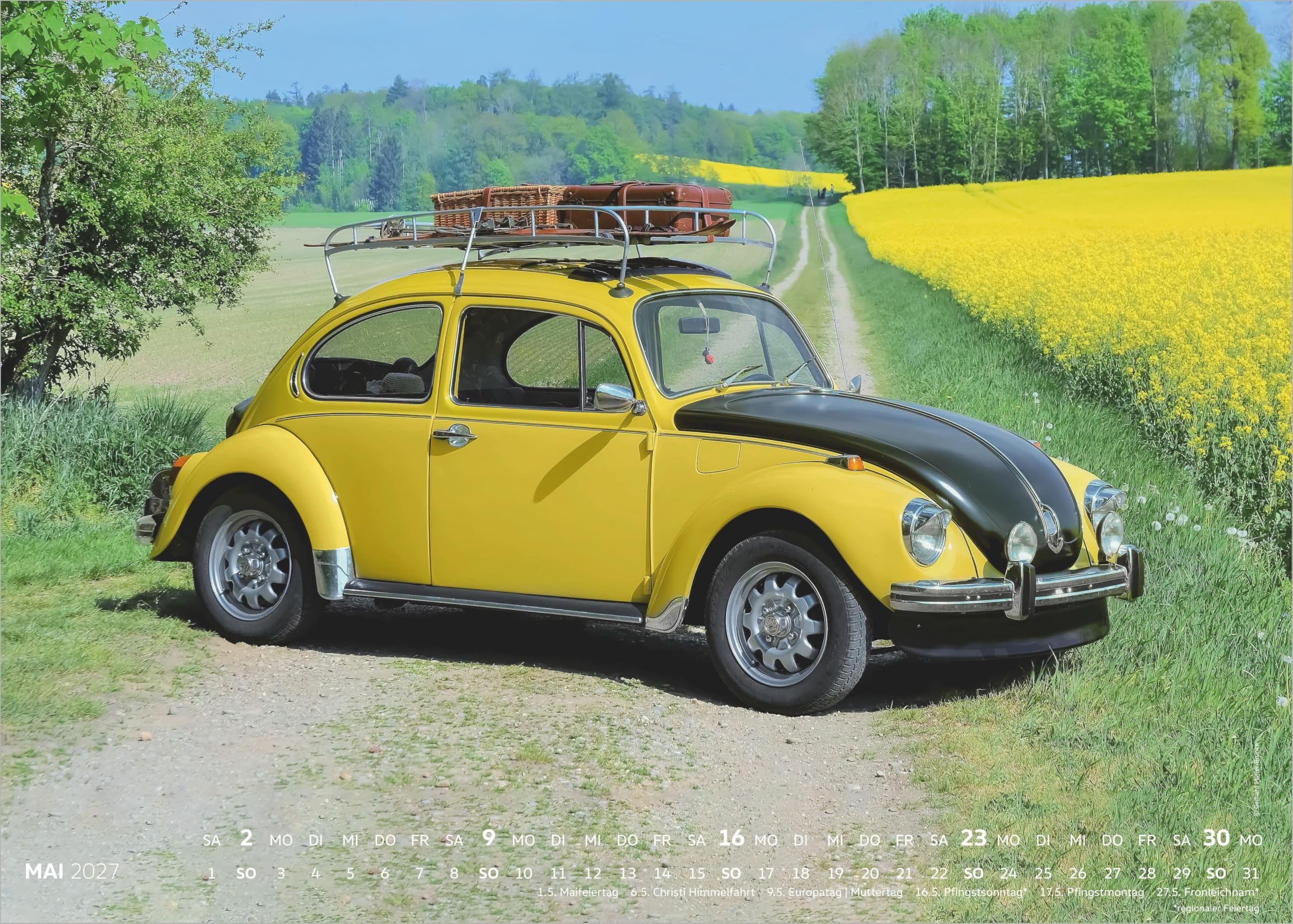 VW Käferkalender 2027: Wandkalender 50x70 cm mit VW Käfer Motiven und deutschem Kalendarium