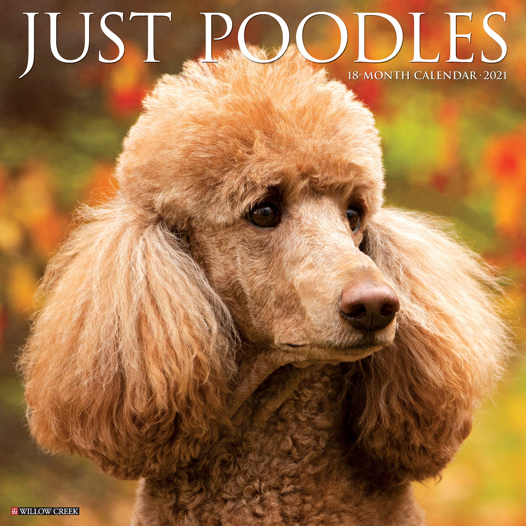 Are Miniature Poodles Affectionate