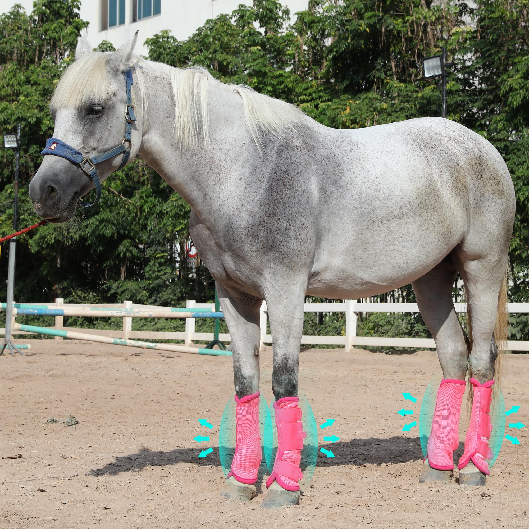 Leberna Set di 4 stivali da mosca per cavalli, traspiranti, comodi, in rete, riducono il calpestio, lo stress sugli zoccoli e l'affaticamento delle gambe (rosa, completi)