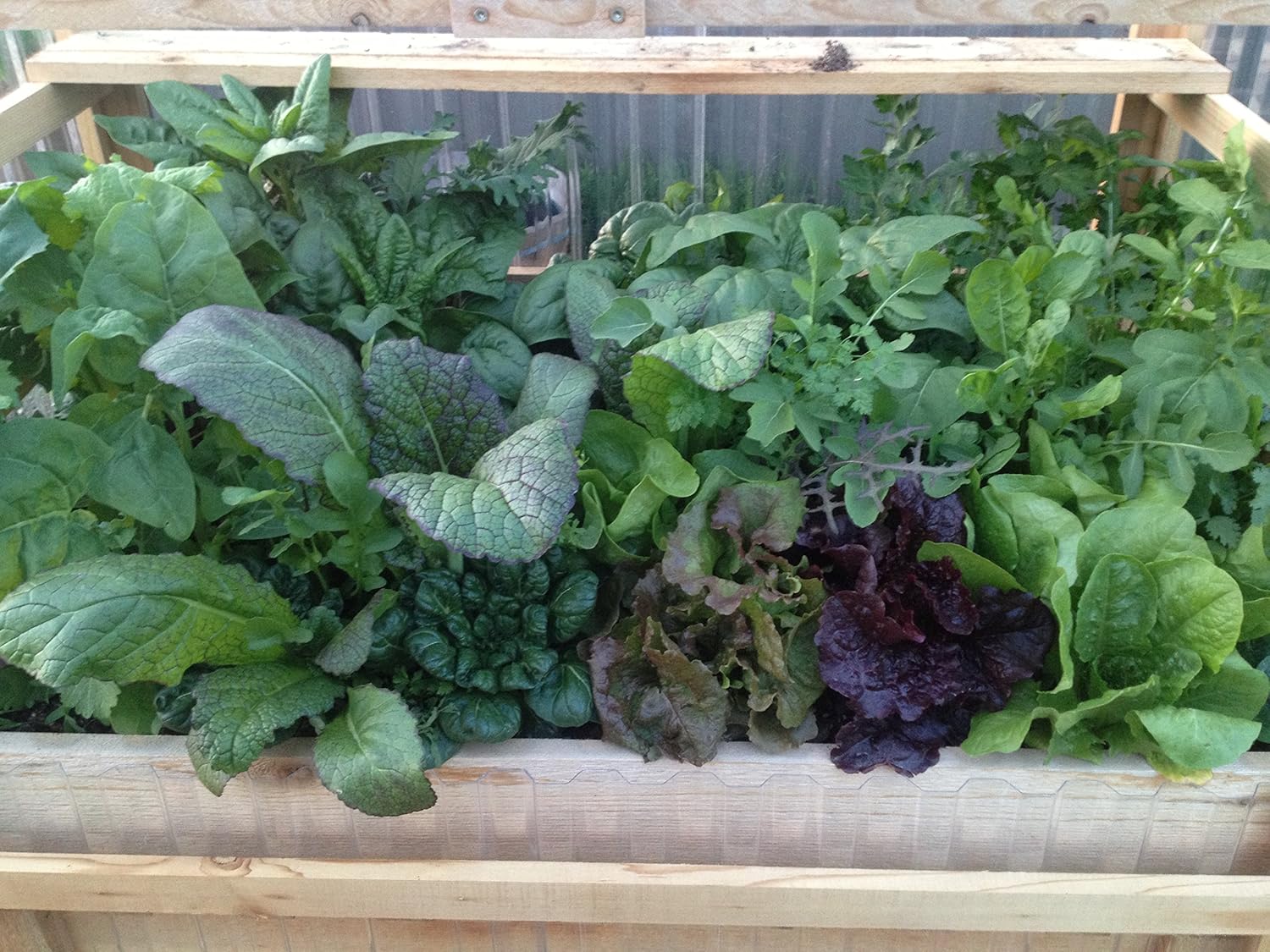 Ergonomic Cold Frame