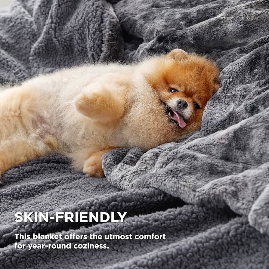 大判ブランケット/グレー/新品　170×135 大判ブランケット/グレー/新品 170×135 4550584484742_org.JPG