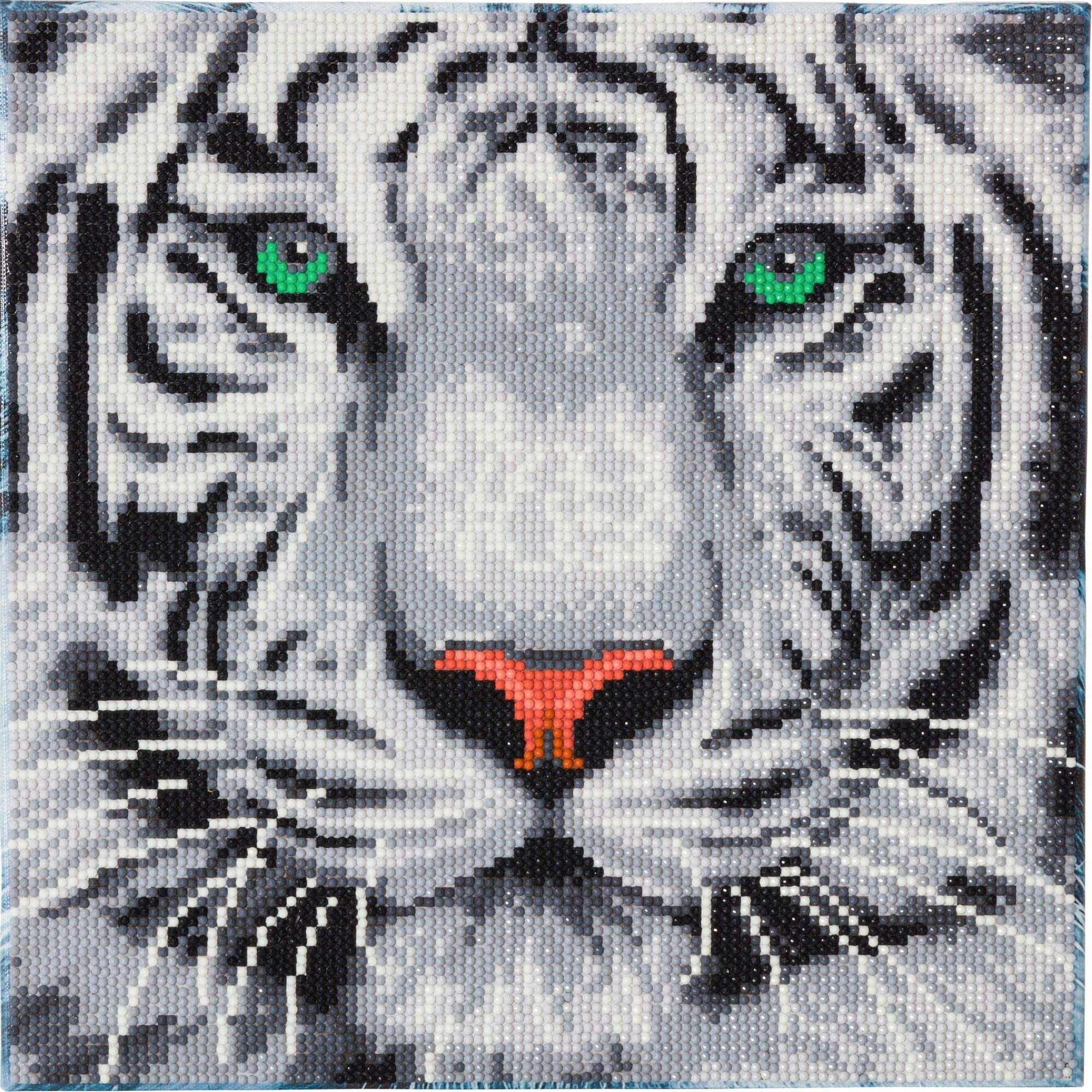 Craft Buddy Crystal Art CAK-A96M White Tiger, 30x30cm Crystal Art Kit