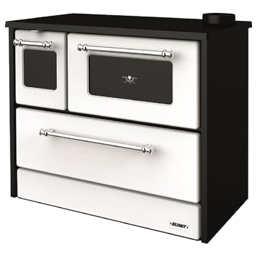 BLINKY Cocina de leña con Horno