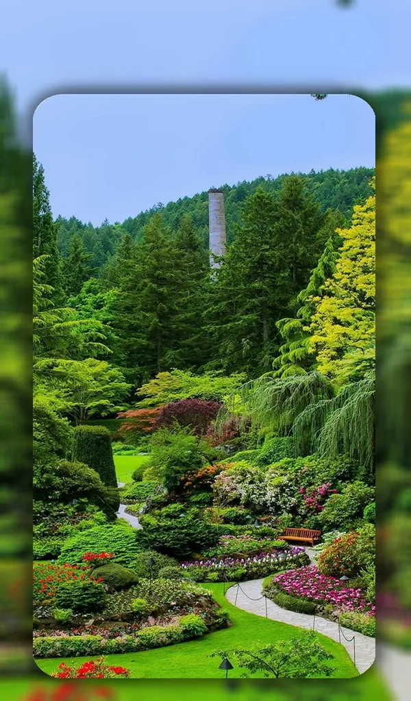 nature-wallpapers-4k-app-on-amazon-appstore