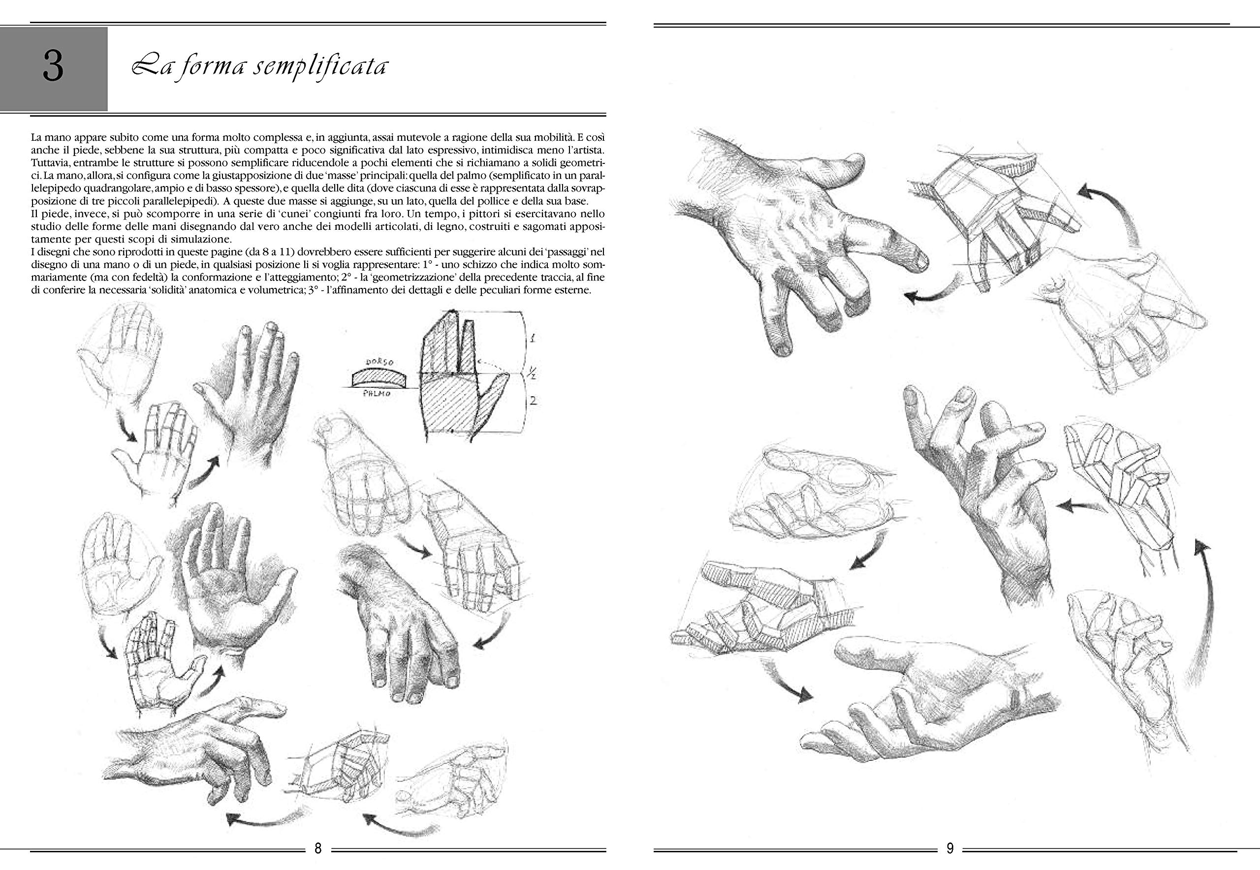 La mano e il piede