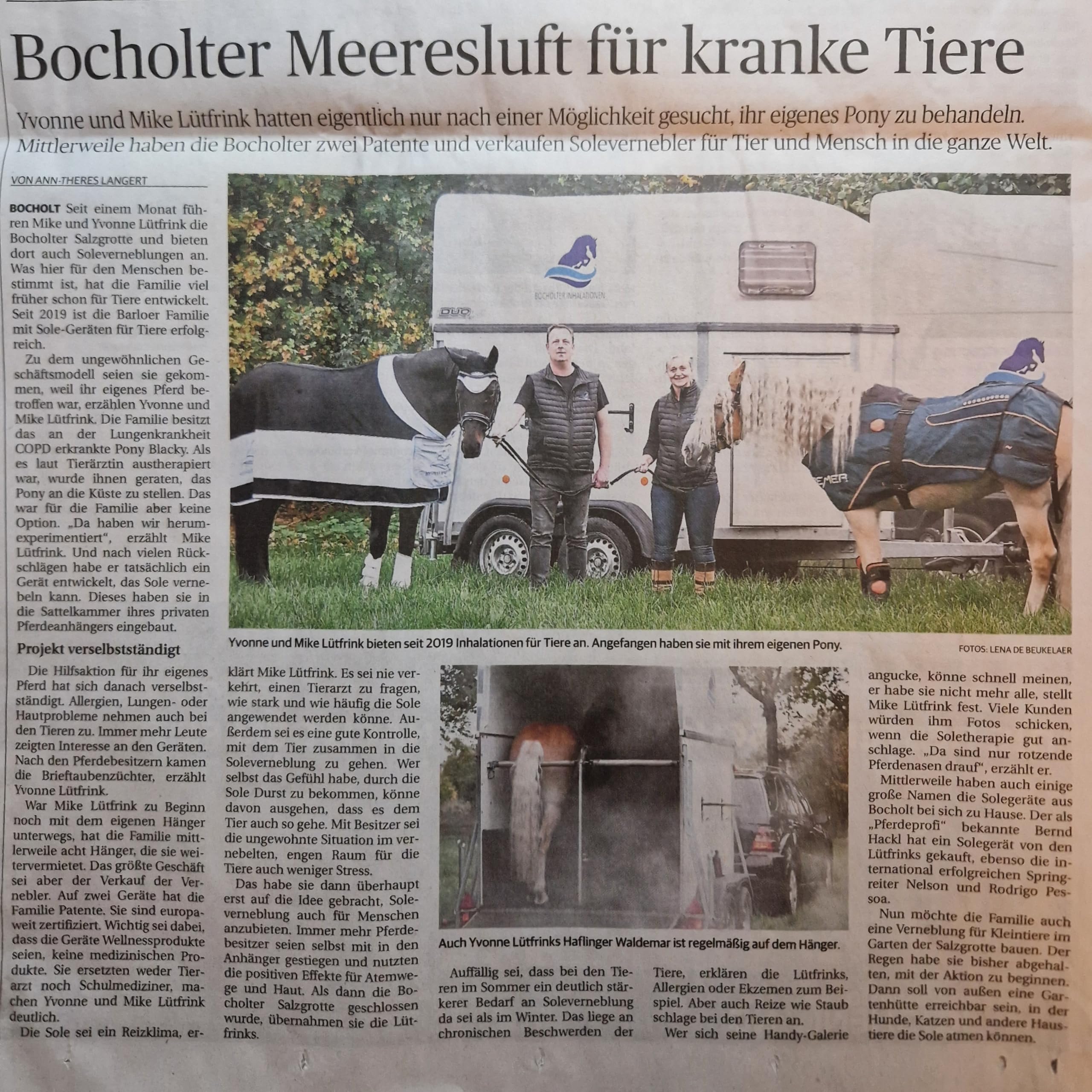 2,5 Liter Totes MeerSalz Sole 5% zur Inhalation bei Pferden