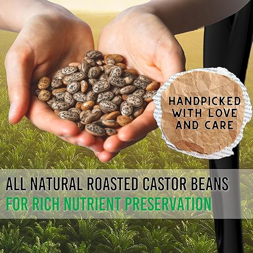 Miniatura 5 de Essentially KateS Aceite de ricino negro jamaicano, 16.9 onzas líquidas, rico en vitamina E, ácidos grasos omega y minerales, aceite portador para