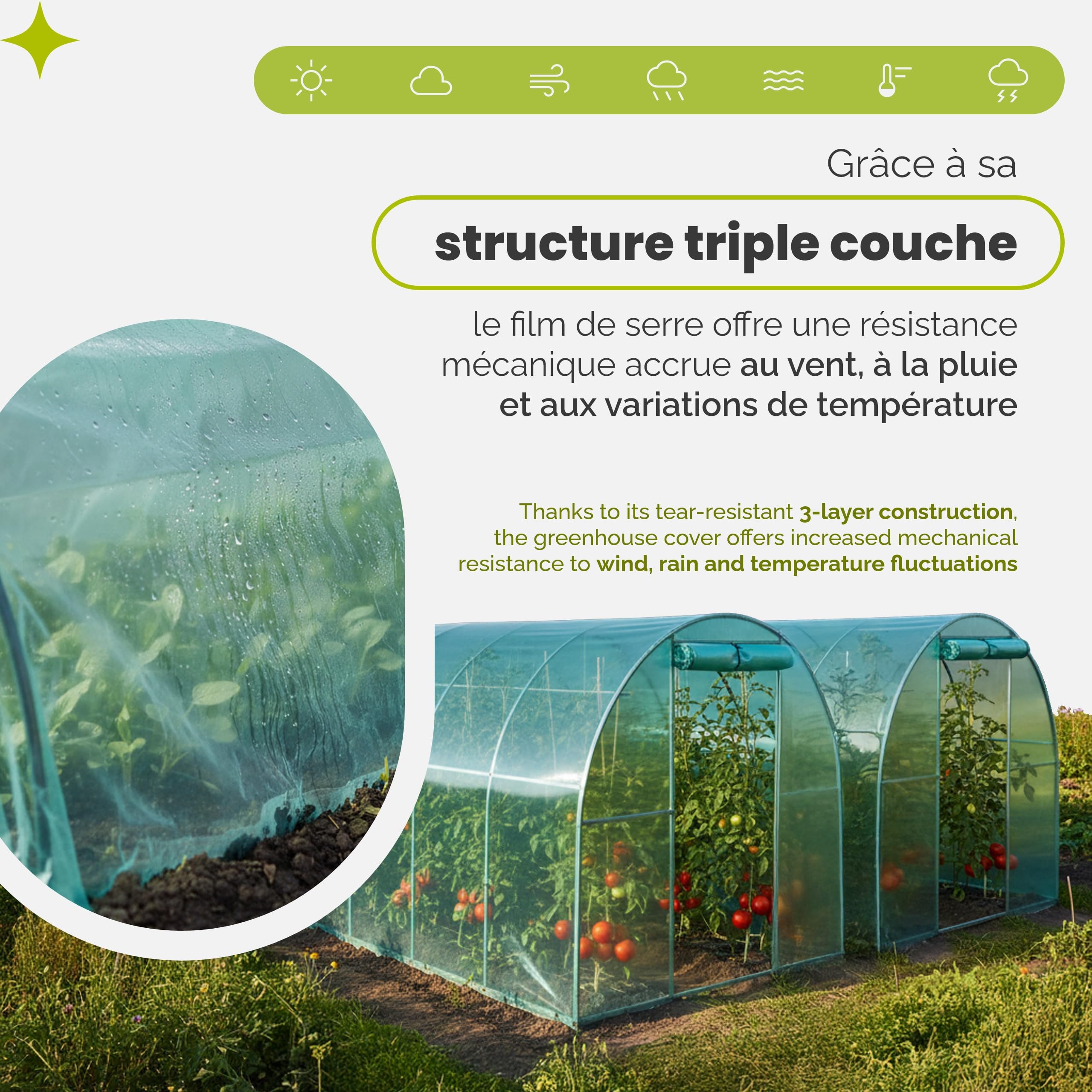 Garronda Bâche pour Serre de Jardin 6x4 m - Film Plastique pour Serre Tunnel LDPE Épais 135μm 3 Couches Anti-UV 4 Saisons Transparent Vert Résistant aux Intempéries et Protège les Cultures GD-0198