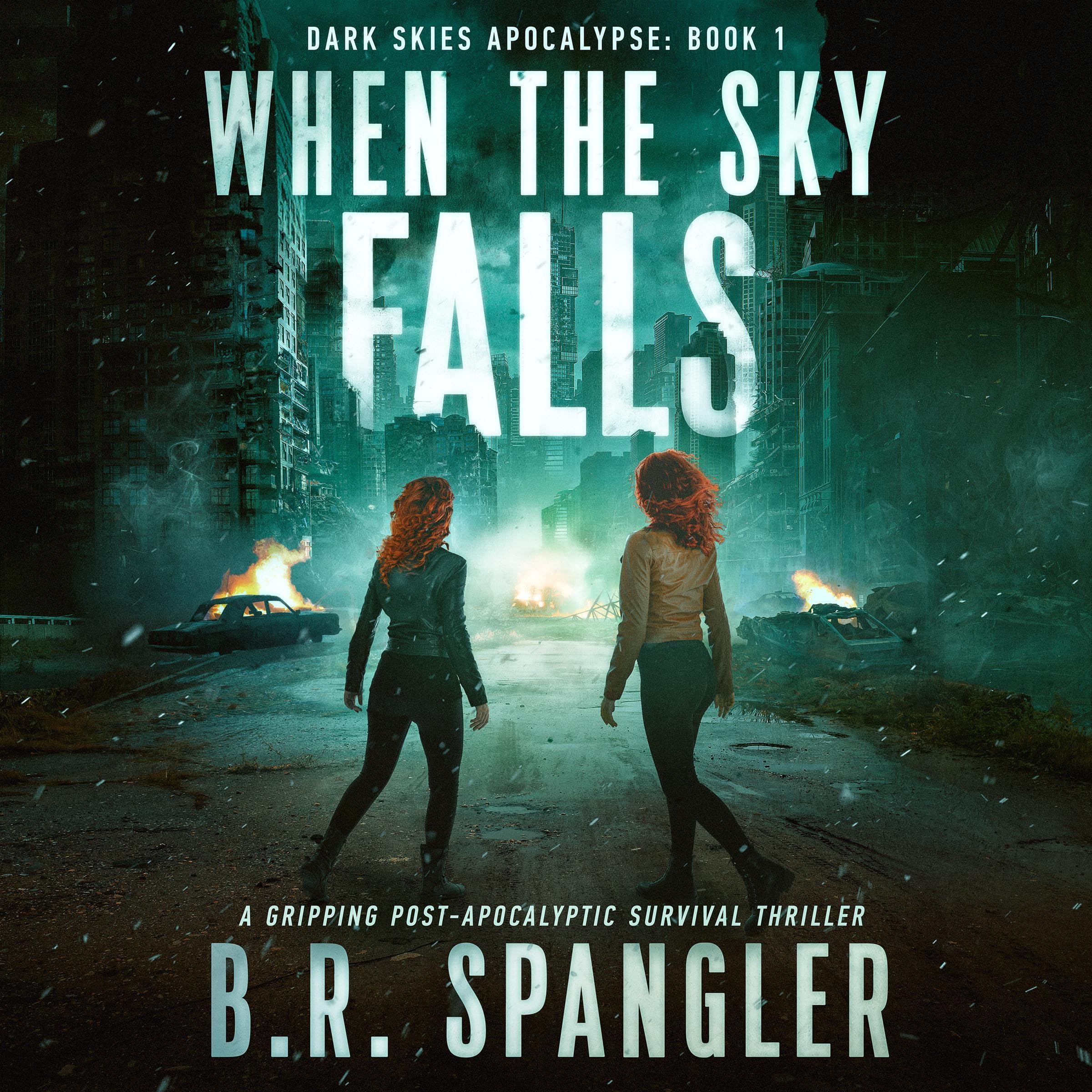 Cover art for When the Sky Falls