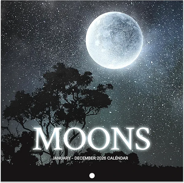 2026 Wall Calendar - Calendar 2026, January 2026 - December 2026, 12'' × 24''(Open), 2026 Calendar with Moon Phases, Hanging Holes, Large Blocks, Perfect for Organizing & Planning