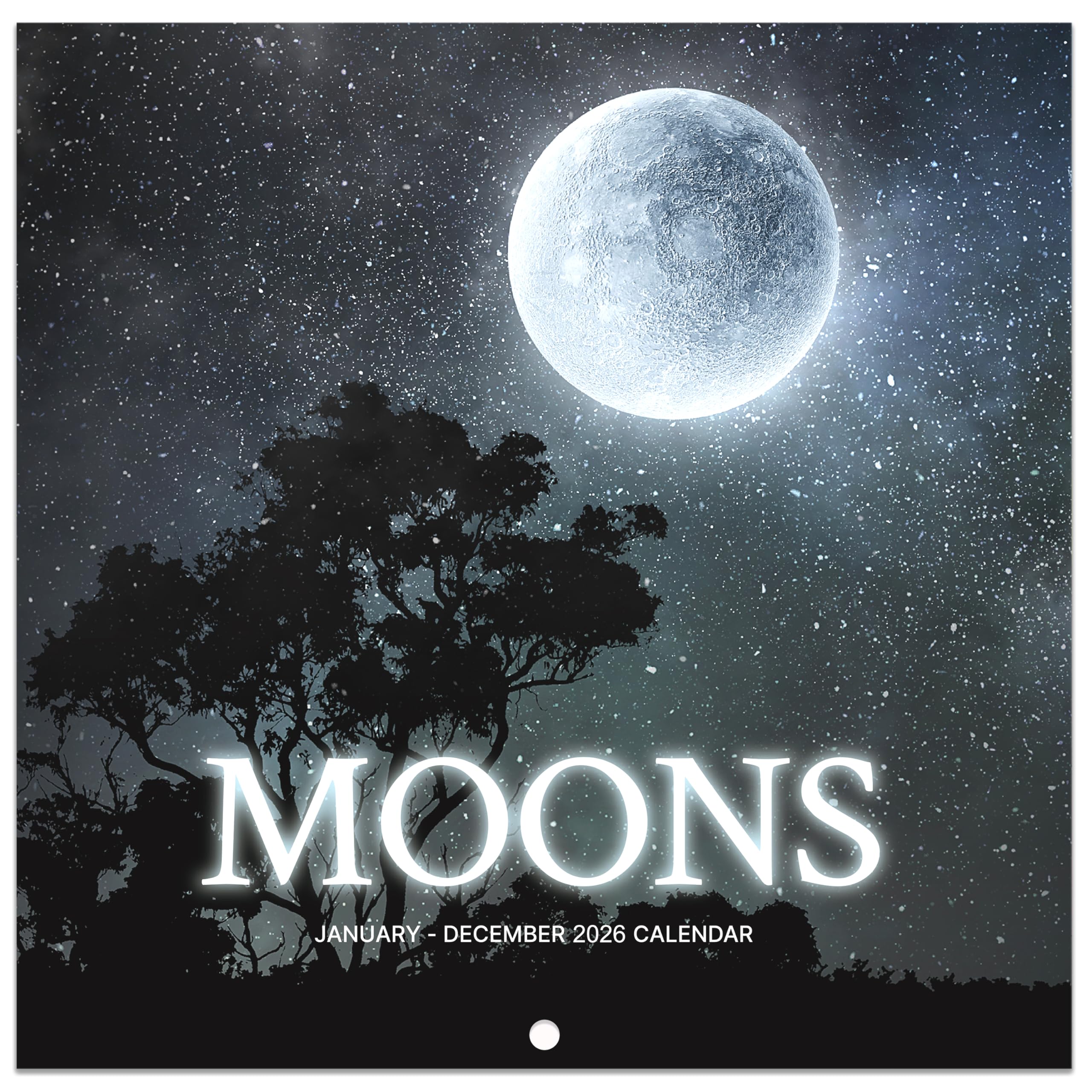 2026 Wall Calendar - Calendar 2026, January 2026 - December 2026, 12'' × 24''(Open), 2026 Calendar with Moon Phases, Hanging Holes, Large Blocks, Perfect for Organizing & Planning