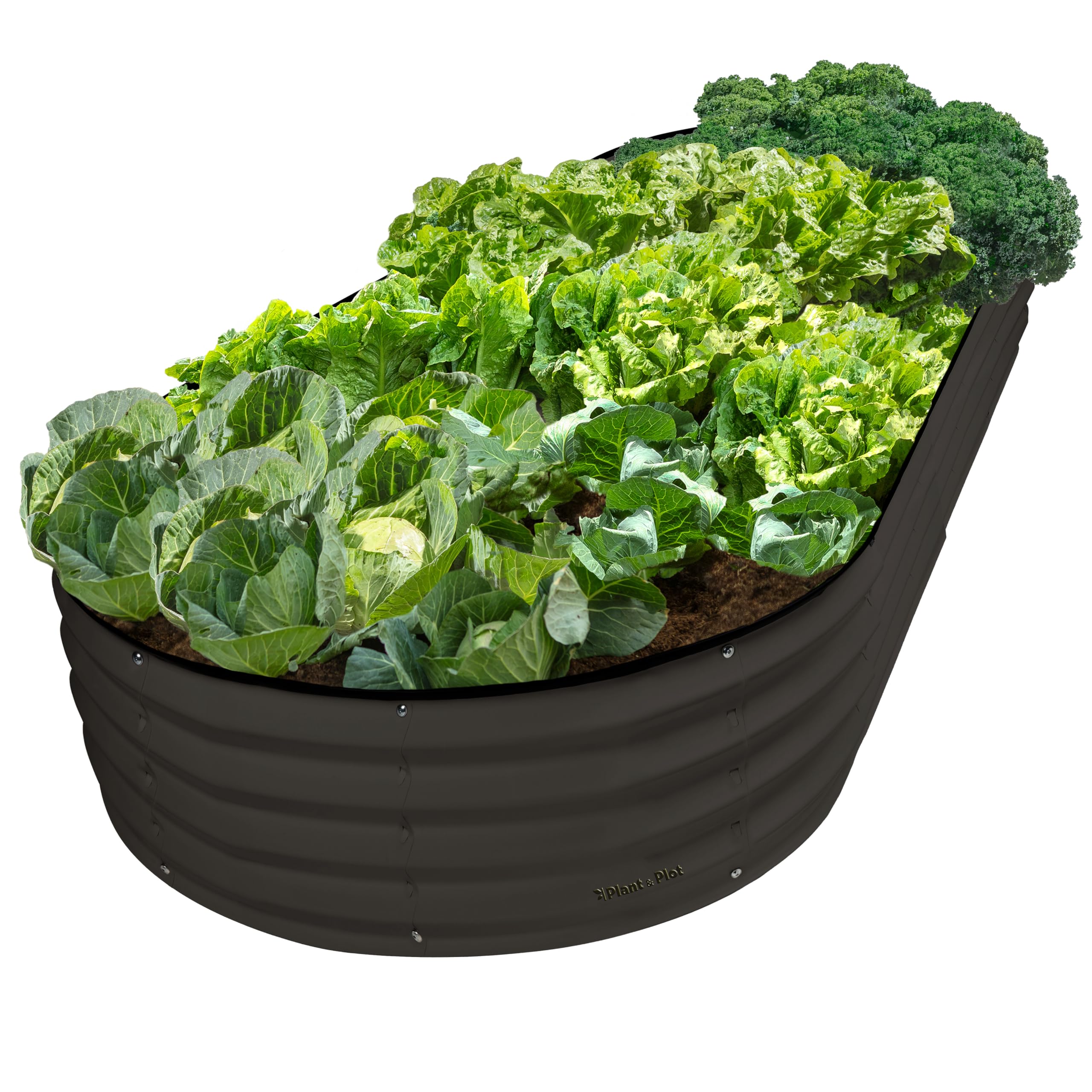 Plant & Plot Raised Garden Bed