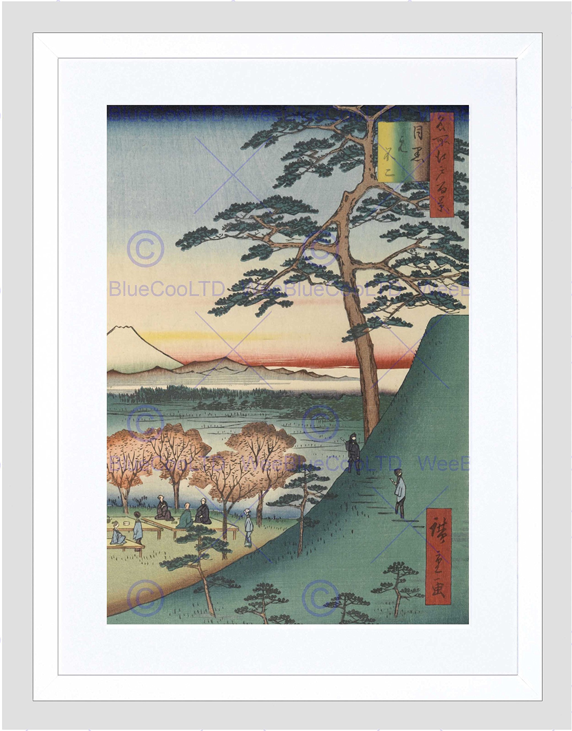 Wee Blue Coo Original Fuji Meguro Views of Edo Hiroshige Woodblock Framed Wall Art Print