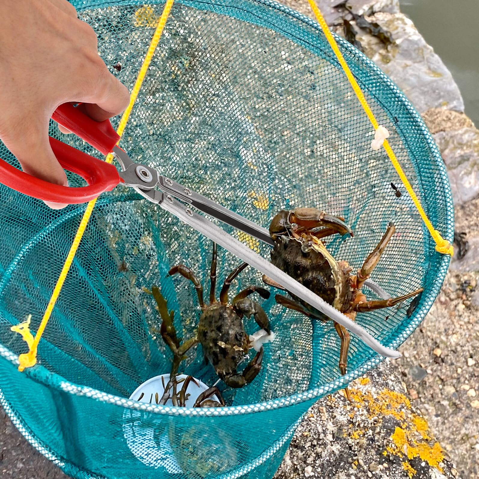 Homoyoyo Pinza per Accessorio Domestico in Acciaio Inossidabile Leggera e Resistente Pinza Multifunzione per Ittici per Cucina e Attività di Pesca