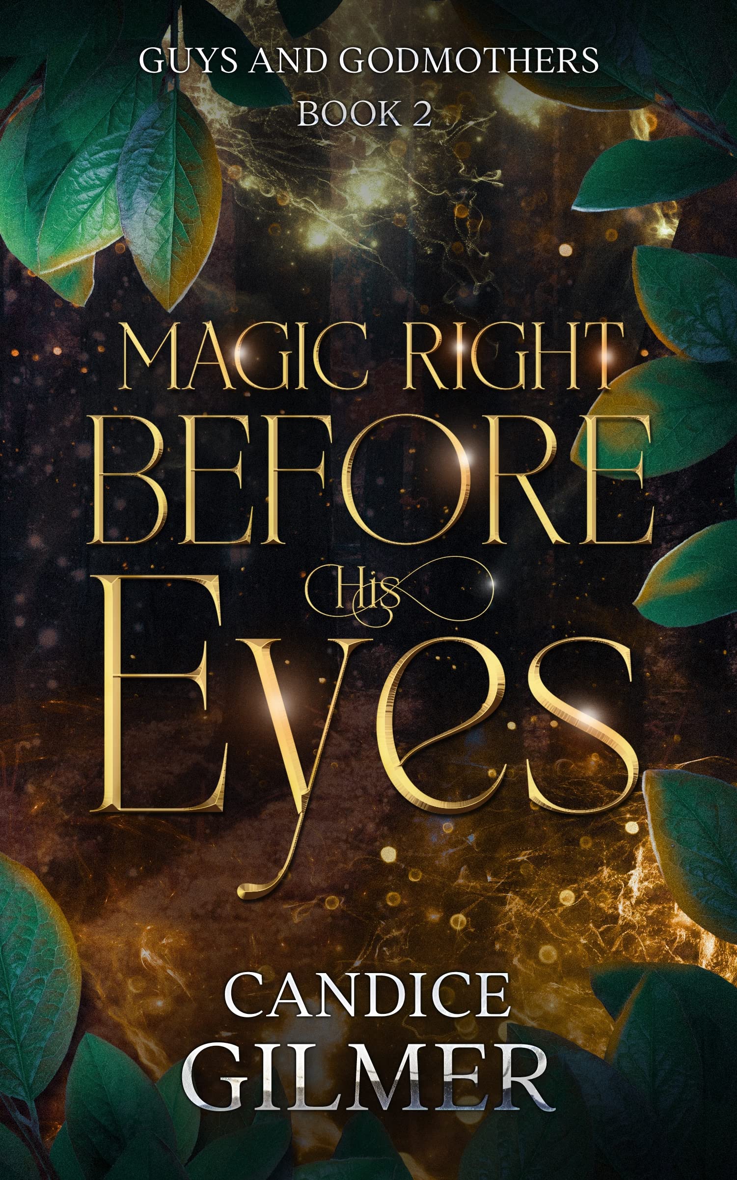 Cover of Magic Right Before His Eyes