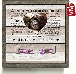 BfiGift Personalized Cat Collar Frame Pet Loss Sign Ever Gifts With Heartfelt Sentimental Quote For Someone Who Lost A Pet Collar Memorial Keepsake Cat Loss Sign Frames with Your Pet Name and Picture