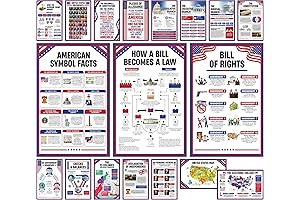 11x17in Social Studies Posters for Classroom
