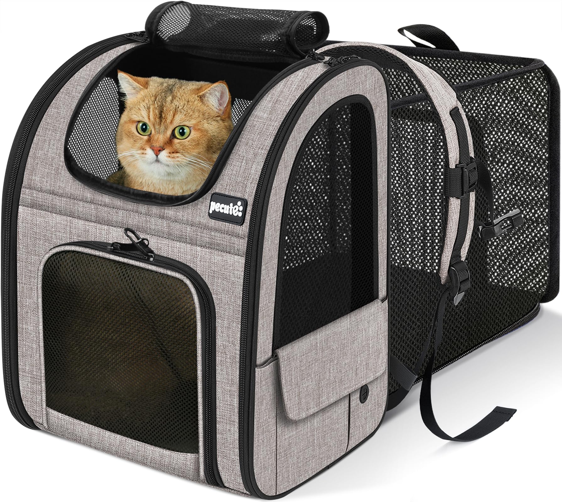 Amazon.co.jp: ペキュート Pecute ペット キャリーバッグ 猫用 犬用