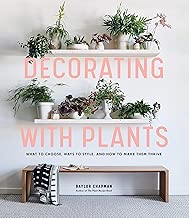 Decorating with Plants: What to Choose, Ways to Style, and How to Make Them Thrive
