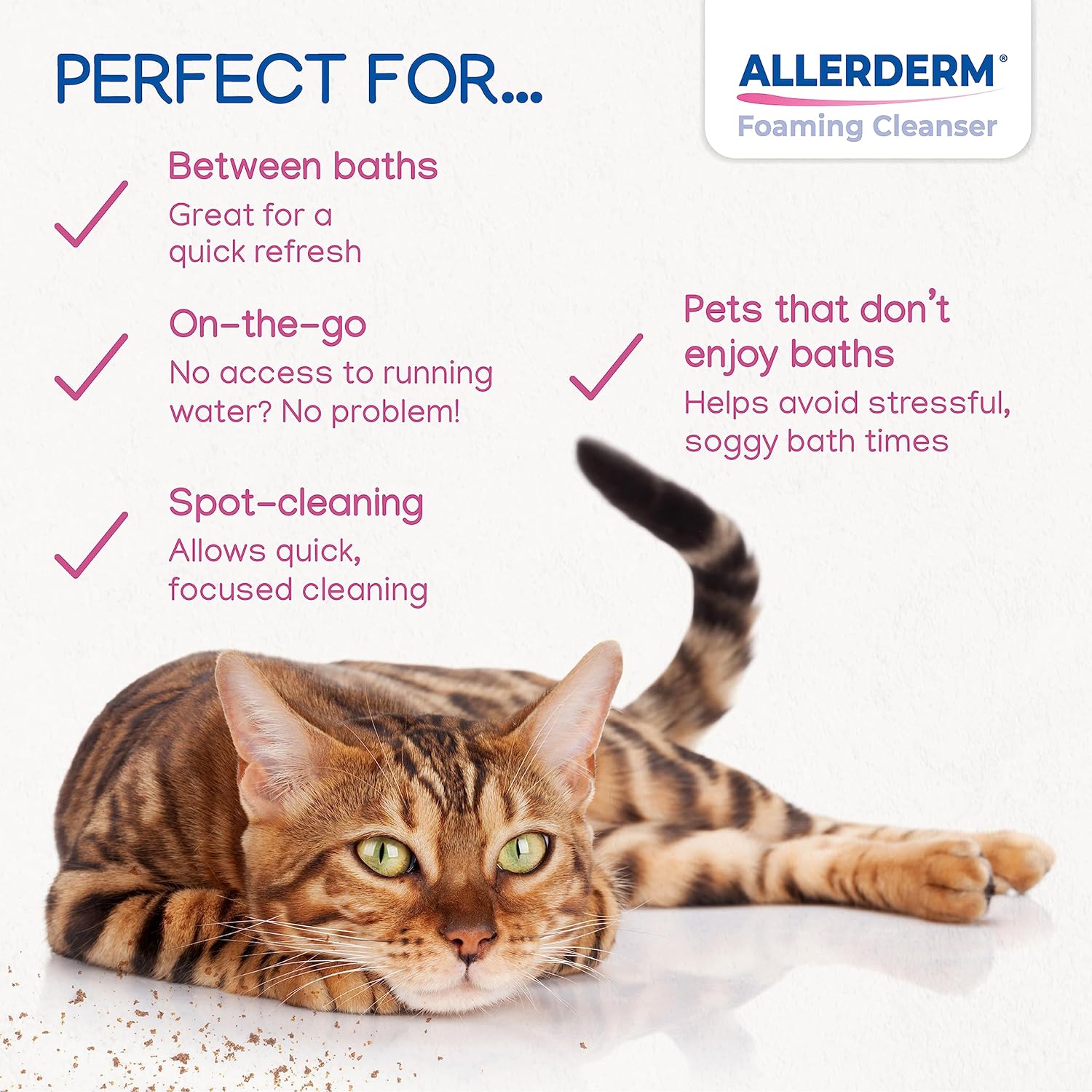 ALLERDERM Foaming Cleanser- Rinse-Free Waterless Micellar Foam for Dogs and Cats with Sensitive Skin by Virbac image 6 of 9 B07Y667J6Y