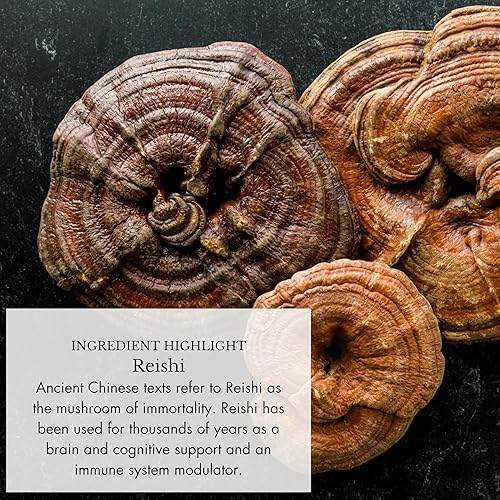 Miniatura 5 de Anima Mundi Apothecary Adaptogenic 7 gotas de hongos con extractos orgánicos de hongos Tintura líquida de apoyo inmunológico con Reishi, melena de
