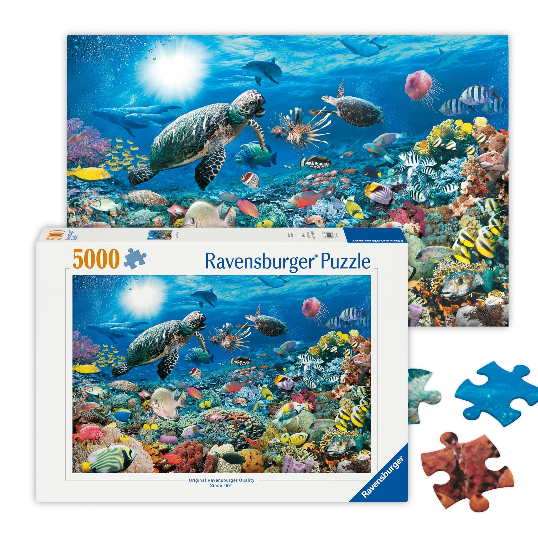 Beneath The Sea Jigsaw Puzzle (5000 Pieces)