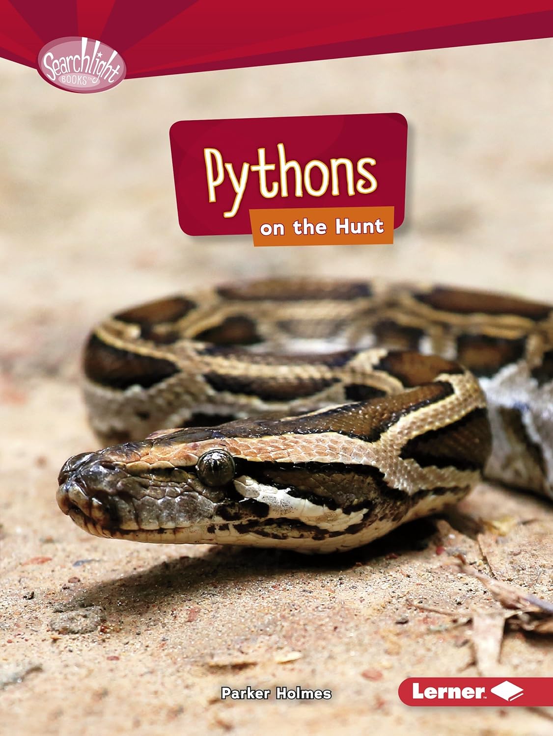 Pythons on the Hunt (Searchlight Books ™ ― Predators): Holmes, Parker ...