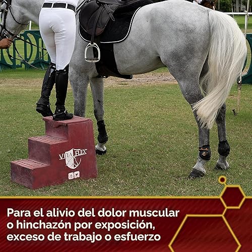 Miniatura 7 de Vita Flex Thermaflex Liniment Gel para dolores musculares y alivio articular en caballos, 12 onzas líquidas