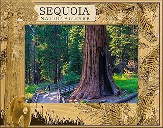 Saddle Mountain Souvenir Sequoia National Park with Bear Laser Engraved Wood Picture Frame Landscape (5 x 7)