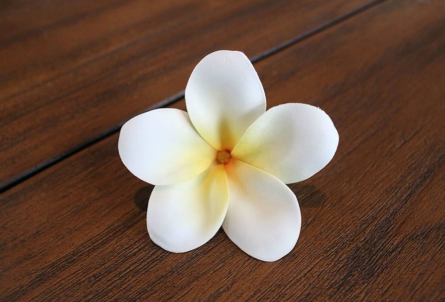 Amazon｜プルメリア 造花 フランジパニ ホワイト 8個入り 小物