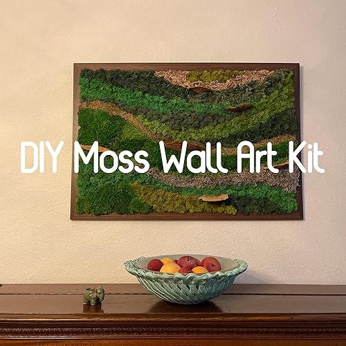 Vista 3 de Hoja preservada de musgo verde natural, decorativo, verde natural, kit de bricolaje, arte de jardinería, decoración de pared, decoración de verde - b