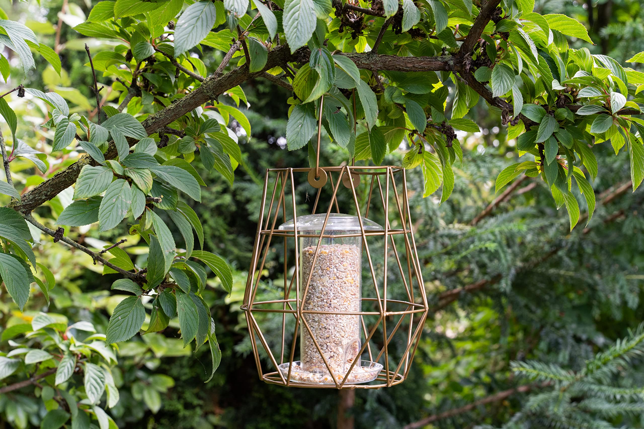 Gardman Aura Small Wild Bird Feeder,Black,A04200 - Image 3