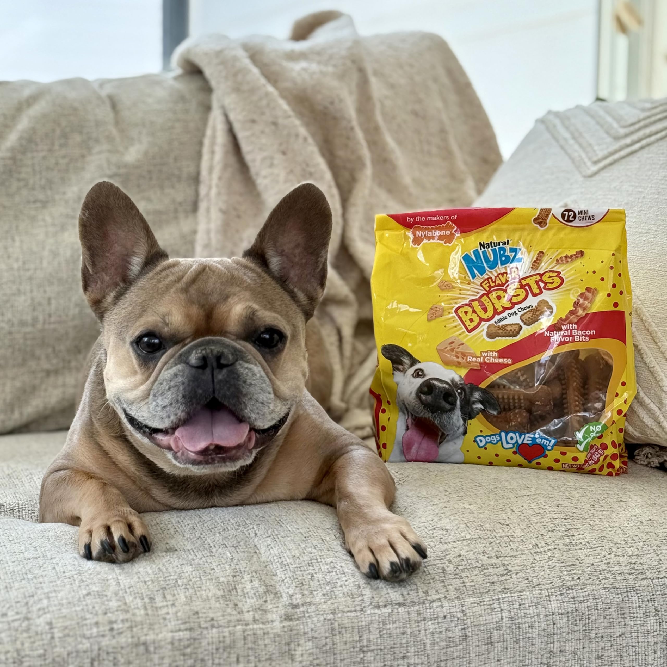 Nylabone Nubz Flavor Bursts Naturalna żucia dla małych psów, długotrwałe kości do żucia, wyprodukowane w USA, smakołyki dla psów bez zbóż, smak bekonu i sera