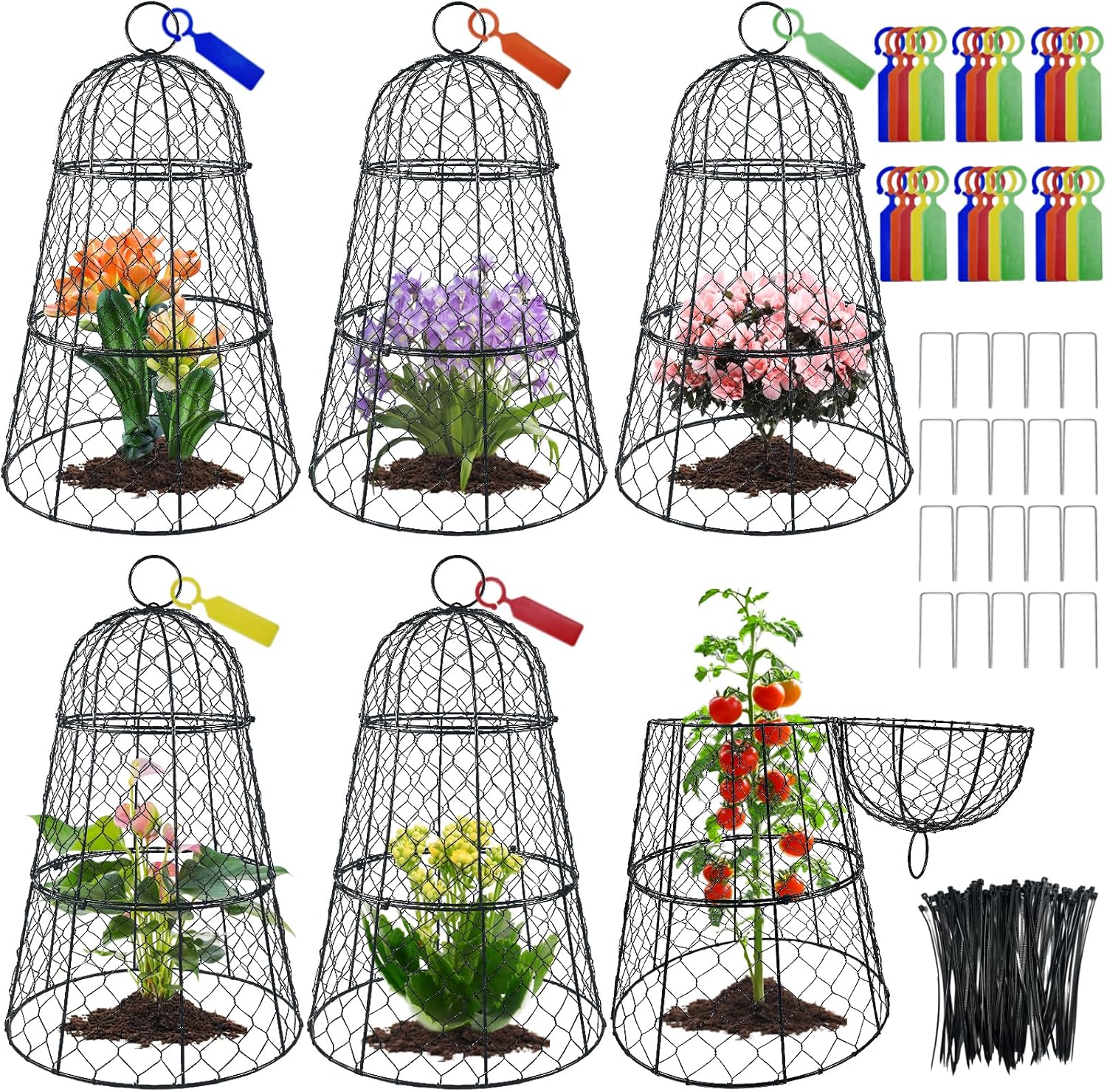 6 PCS 17.7"H X 11.42"D Garden Cloches,Chicken Wire Plant Covers Protectors Modular Design for Customizable Protection,Rust-Proof Heavy Duty Metal Plant Cage for Seedlings Flowers Protect from Animals