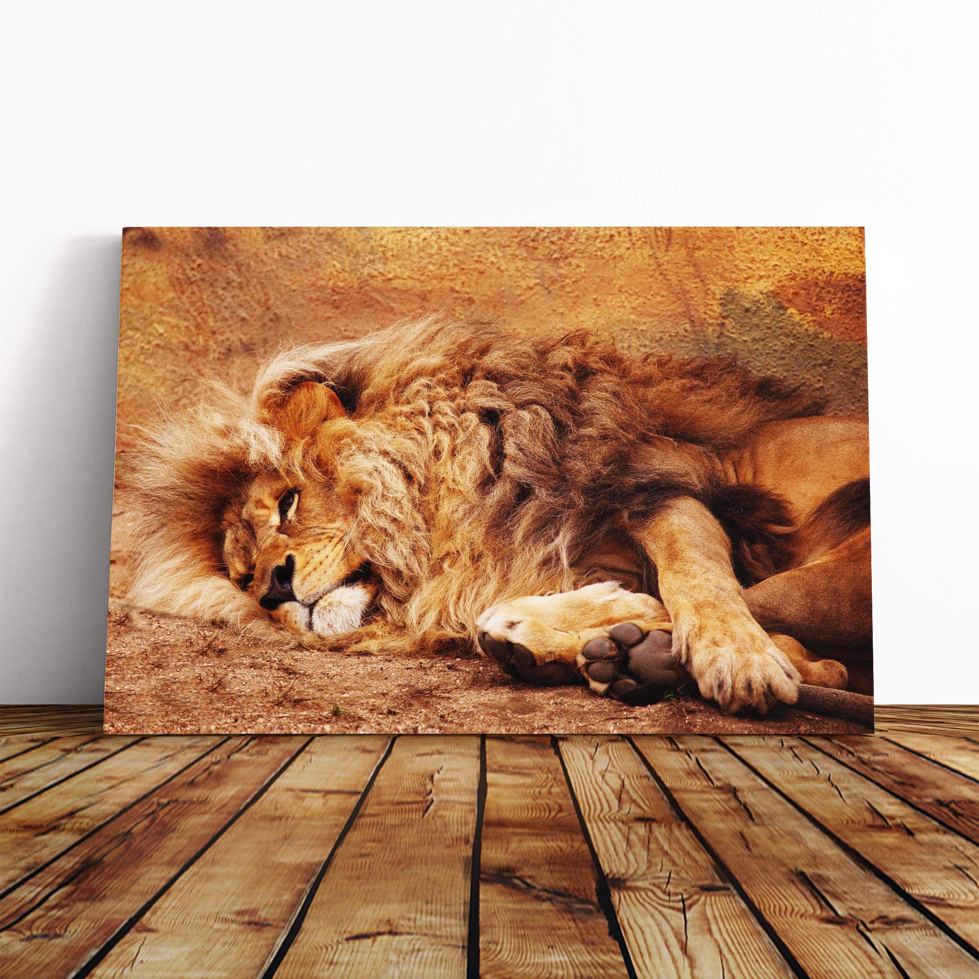 Resting Lion Canvas Print | Gallery Wrapped 30mm Frame Wall Art | 30x20 inches | Ready to Hang | Modern Animals Picture | Living Room Bedroom Lounge Office