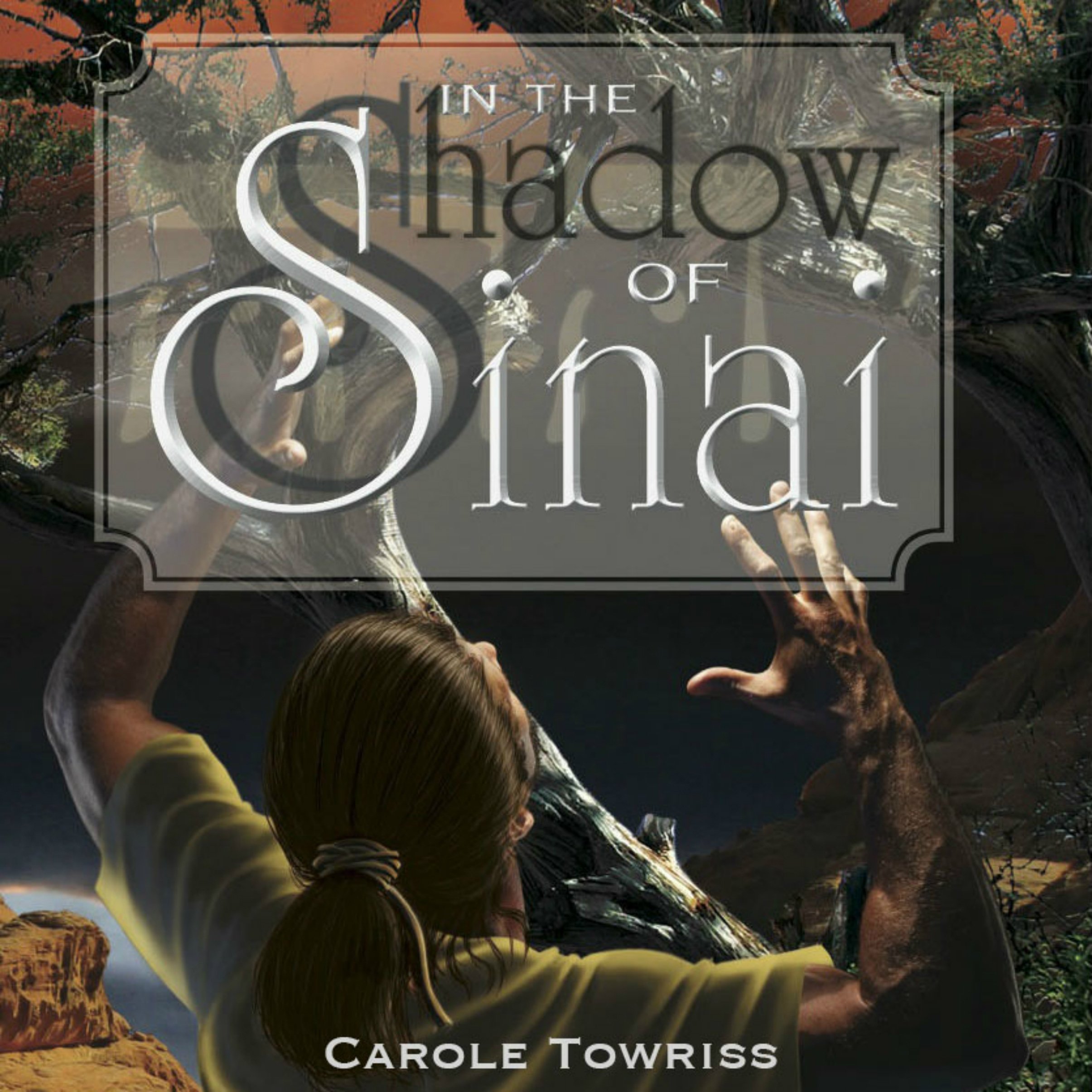 Cover art for In the Shadow of Sinai