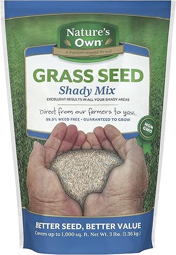 Mountain View Seed s Natures Own Shady Mix Semillas de hierba, 3 libras