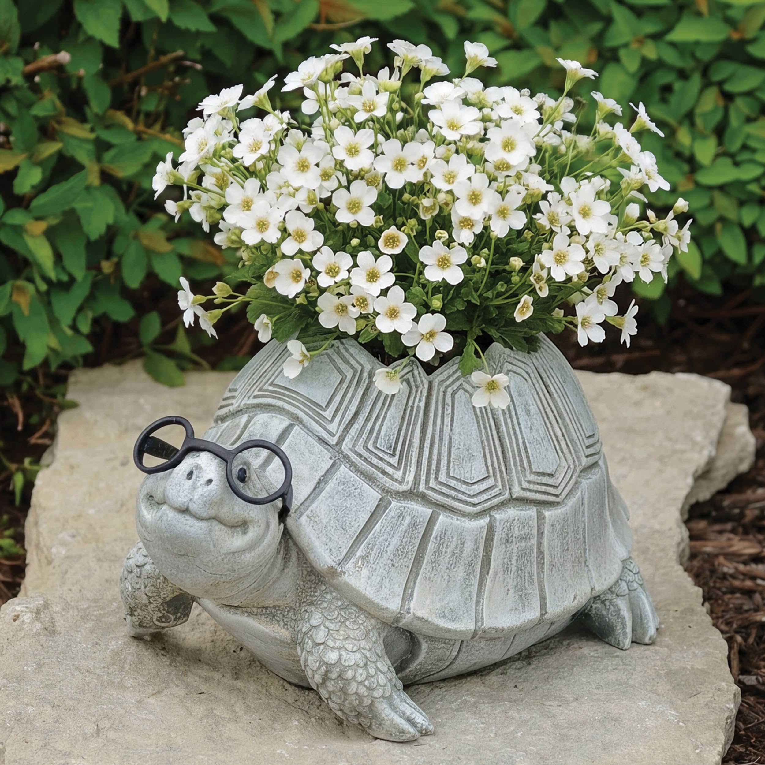 gray_turtle COPIAPOA 羅本製所 OZWRT gray_turtle COPIAPOA 羅本製所