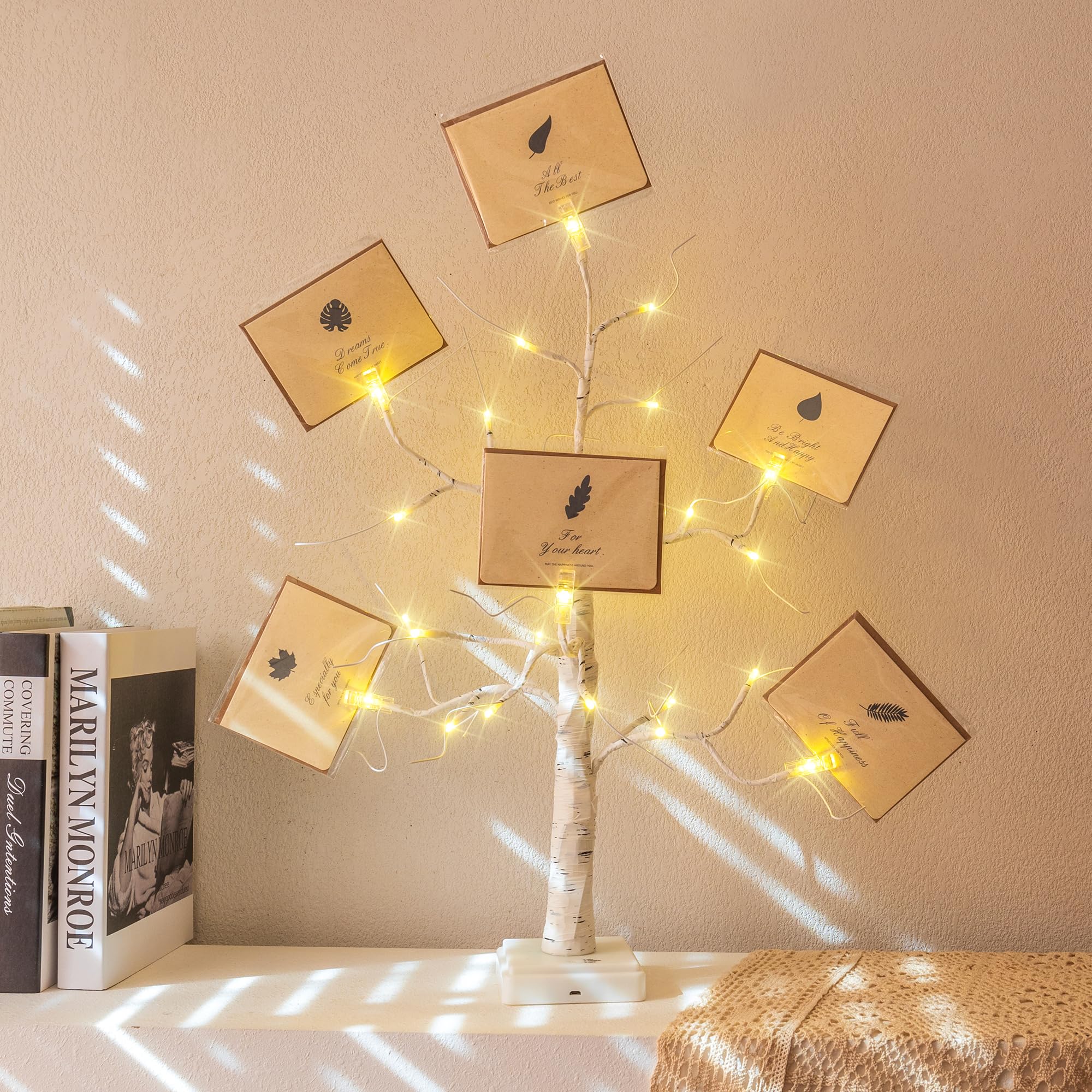Woohaha 2FT Money Tree with Holder,24LED Lighted Birch Tree Table Centerpiece,Gift Card Battery/USB Powered with 6 Clips and 6 Greeting Cards for Home,Party,Christmas,Wedding,Birthday,Graduation