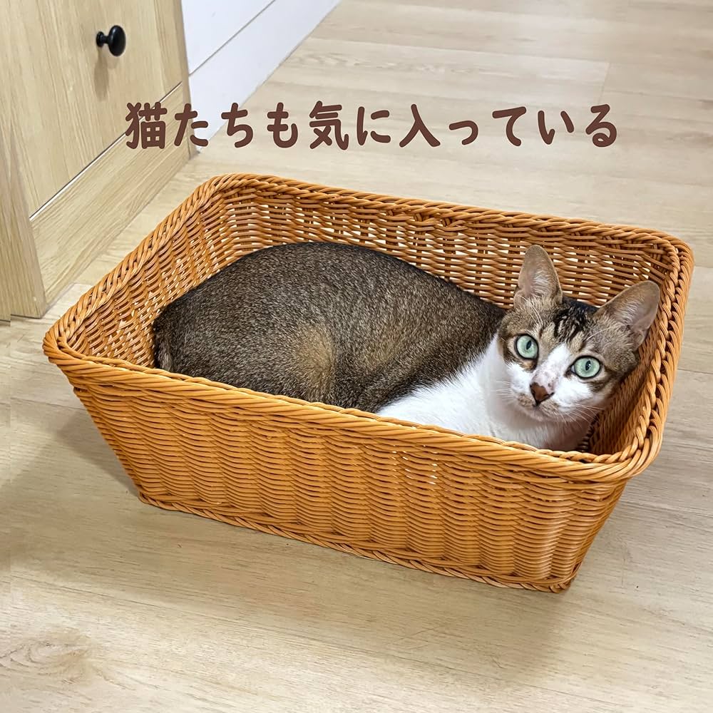 petかご　バスケット ちどり産業 フタつきPPバスケット（キャスター付き） SF-910