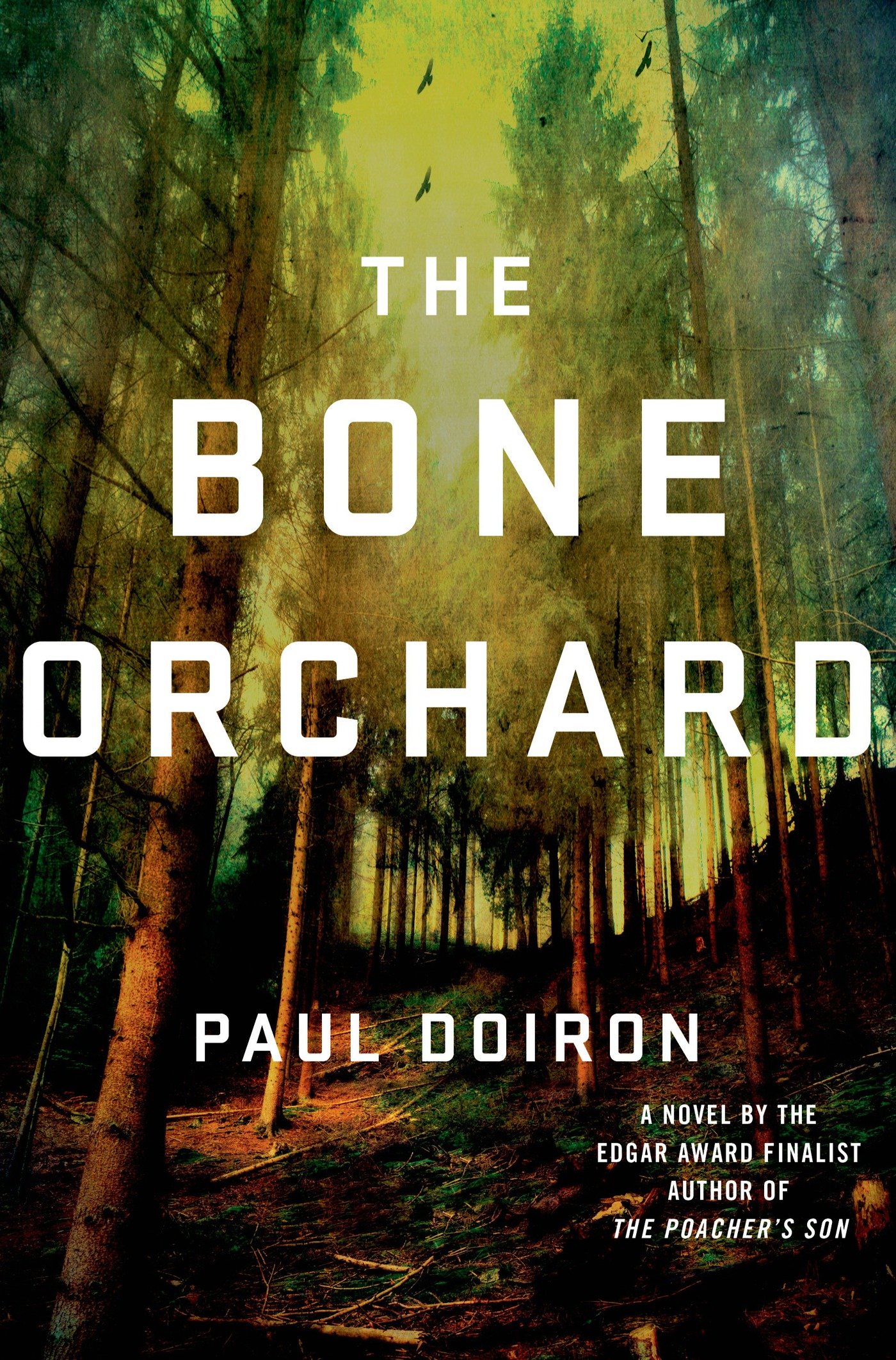 The Bone Orchard: A Novel (Mike Bowditch Mysteries Book 5)